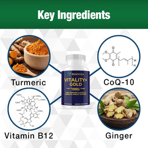 Unlock Daily Energy & Joint Comfort with REJUVEXA VITALITY+ GOLD